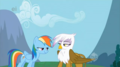 my-little-pony-friendship-is-magic - Rainbow Dash and Gilda screencap