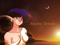 anime - Ranma 1 2 Akane Tendo wallpaper