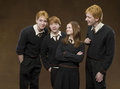 Ron, Fred, George, and Ginny - harry-potter photo