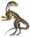  Staurikosaurus