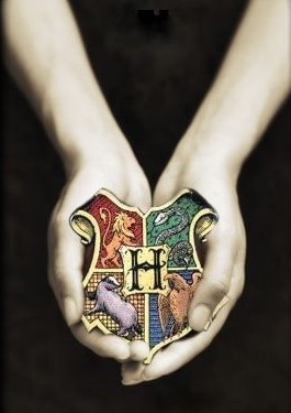  The Hogwarts Houses