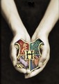 The Hogwarts Houses - harry-potter photo