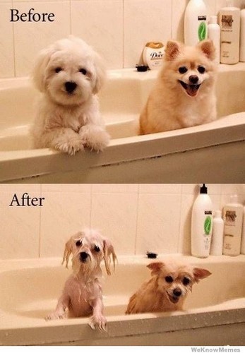  Before & after