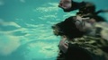 leona-lewis - I Got You [Music Video] screencap