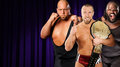 Royal Rumble:Daniel Bryan vs Big Show vs Mark Henry - wwe photo