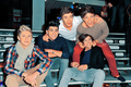 ♫1D♫ - one-direction photo