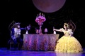 Beauty and Beast on Broadway pic - disney-princess photo