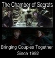 Chamber of Secrets - harry-potter fan art