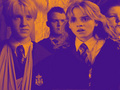 Draco/Hermione - draco-malfoy-and-hermione-granger photo