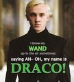 Draco's Wand Party - harry-potter photo