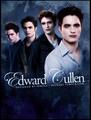 Edward Cullen through twilight saga - twilight-series fan art