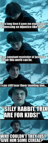 Harry Potter's Funny Nightmare