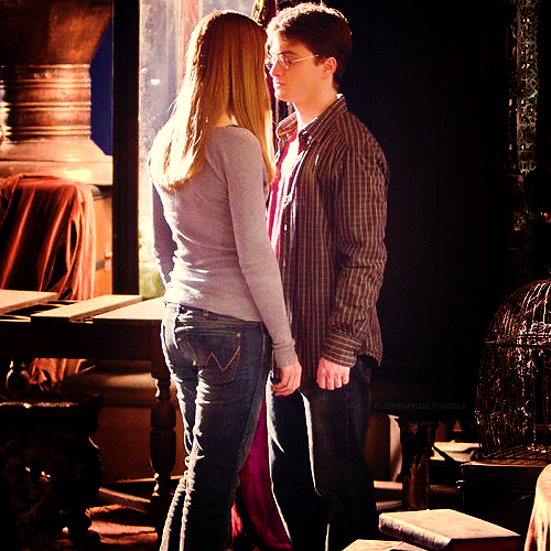  Harry and Ginny HP6