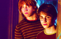 Harry and Ron - harry-potter fan art