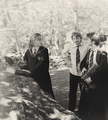 Hermione,Ron & Harry - harry-potter photo