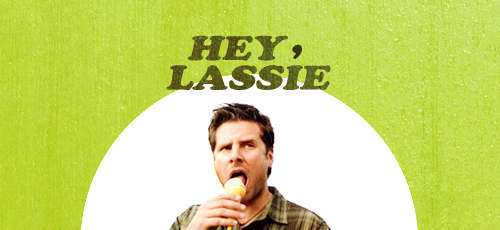  Hey, Lassie