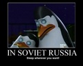 In Soviet Russia - penguins-of-madagascar fan art