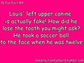 Louis Facts - louis-tomlinson fan art