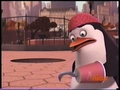 penguins-of-madagascar - Private the Pirate: The Sequel screencap