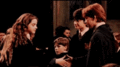 Ron and Hermione GIF - harry-potter fan art