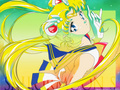 Sailor Moon - anime wallpaper