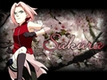 Sakura Haruno - anime wallpaper