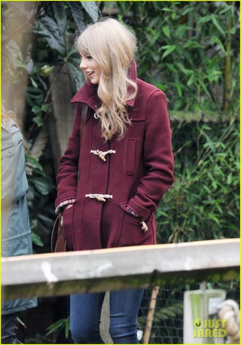  Taylor Swift: Londres Zoo Visit!