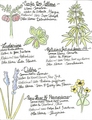 Tom Haverford's Guide to Horticulture - parks-and-recreation fan art