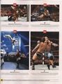 WWE Magazine January 2012-Punk - wwe photo