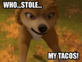 Who stole her Tacos - alpha-and-omega fan art
