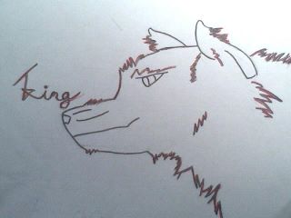 a better drawing of my serigala, wolf