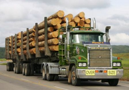 Logs On Trucks