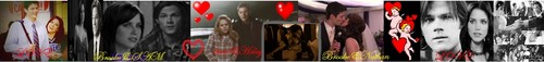  shipped couples banner
