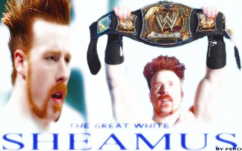 the great white sheamus