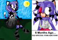 :Gift: Sierra The Punk Cat (UPDATE!) - sonic-fan-characters photo