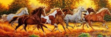A-horse-stapeed-sun-herd-dark-herd-and-light-herd-28673466-356-120.jpg