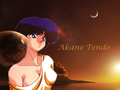 anime - Akane Tendo wallpaper