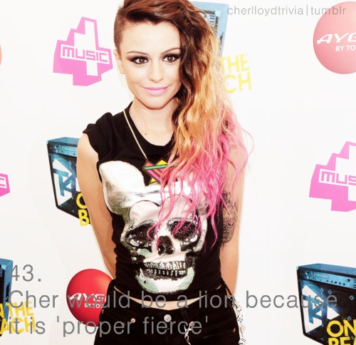 Cher Lloyd Facts