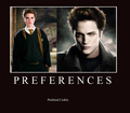 HP VS Twilight - harry-potter-vs-twilight fan art