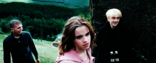  Hermione & Draco