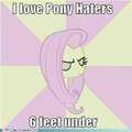 Love and tolerate eh? - my-little-pony-friendship-is-magic fan art