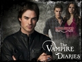 the-vampire-diaries-tv-show - Love sucks wallpaper