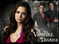 the-vampire-diaries-tv-show - Love sucks wallpaper