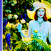 Marcia Cross- Perfect<3 - desperate-housewives icon