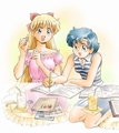 Minako & Ami - anime fan art