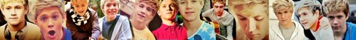  Niall Banner...(What Do wewe Think?)