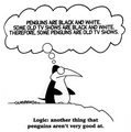 Penguine logic - random photo