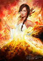 The Girl on Fire - the-hunger-games fan art