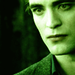Twilight Series Icons. - twilight-series icon