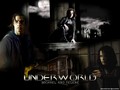 underworld - Underworld Selene and Michael  wallpaper